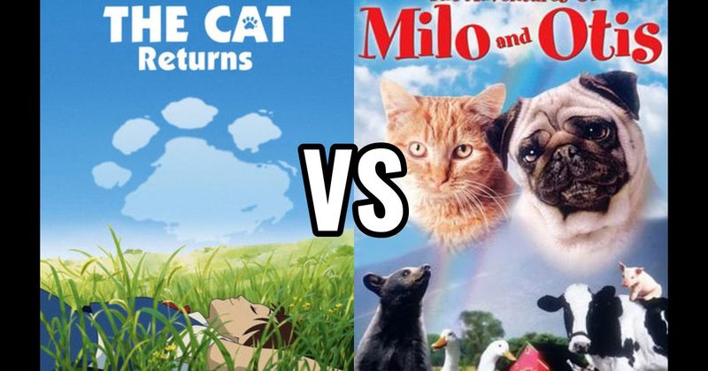 Adventures of Milo and Otis vs. The Cat Returns