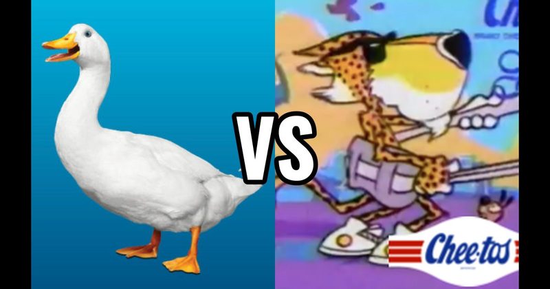 Aflac Duck vs. Chester Cheetah (Cheetos)