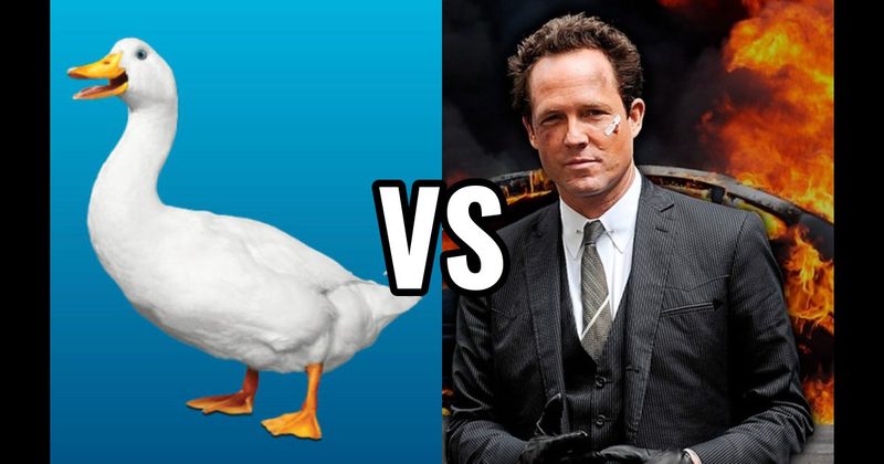 Aflac Duck vs. Mayhem (Allstate)