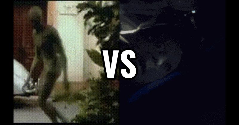 Ben Gardner's Head — Jaws vs. Birthday Party Scene - Signs