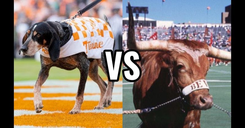 Bevo (Texas Longhorns) vs. Smokey (Tennessee Volunteers)
