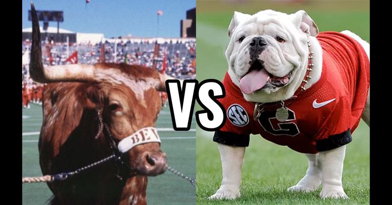 Bevo (Texas Longhorns) vs. Uga (Georgia Bulldogs)