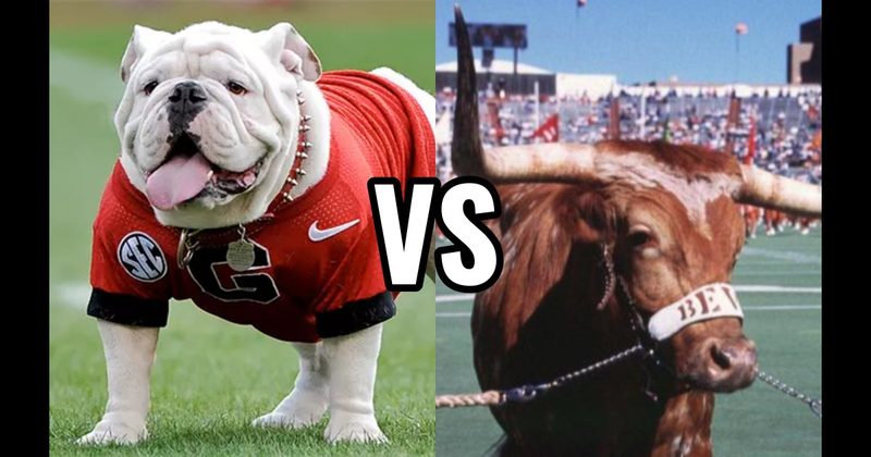 Bevo (Texas Longhorns) vs. Uga (Georgia Bulldogs)