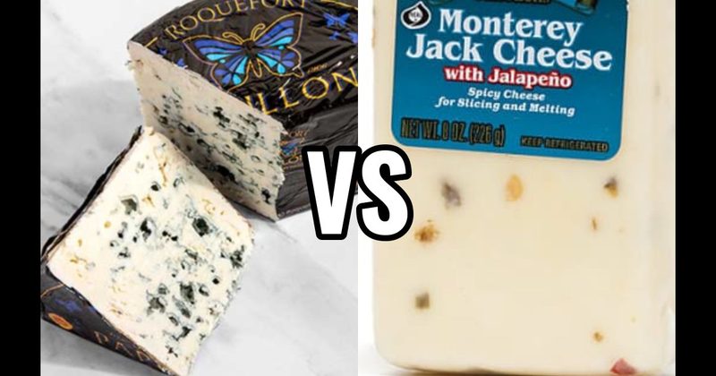 Blue Cheese vs. Monterey Jack Cheese