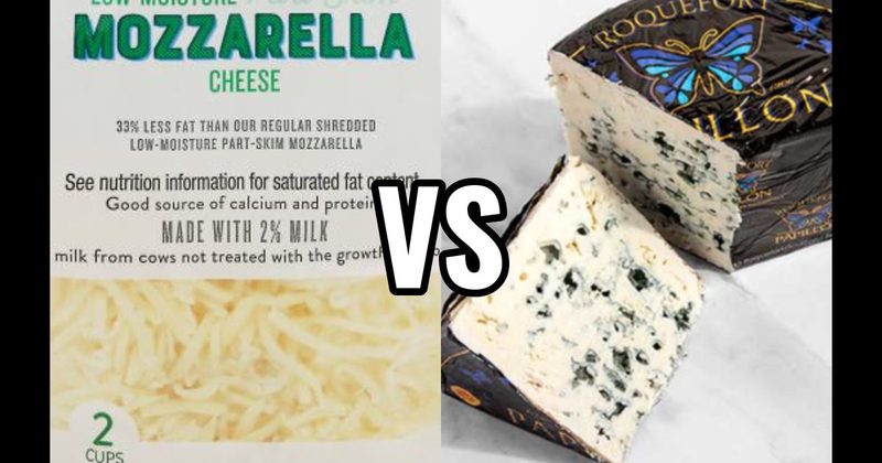 Blue Cheese vs. Mozzarella Cheese