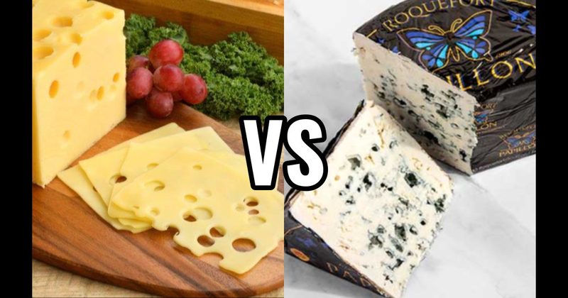 Blue Cheese vs. Swiss Cheese