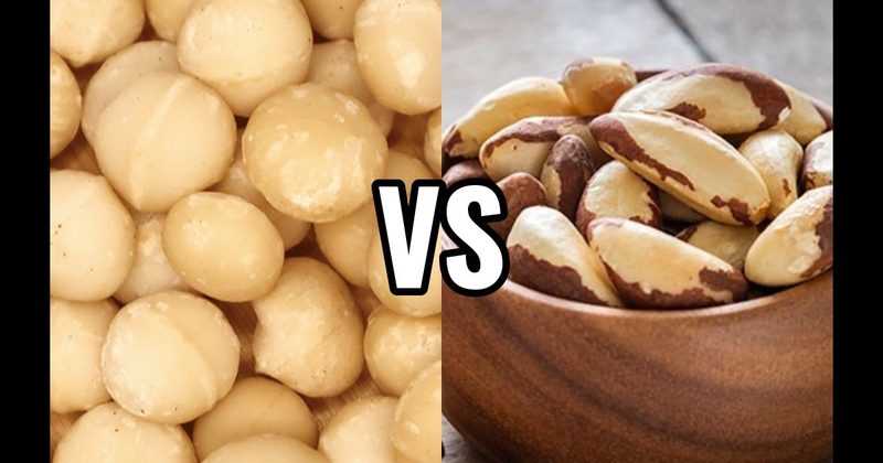 Brazil Nuts vs. Macadamias