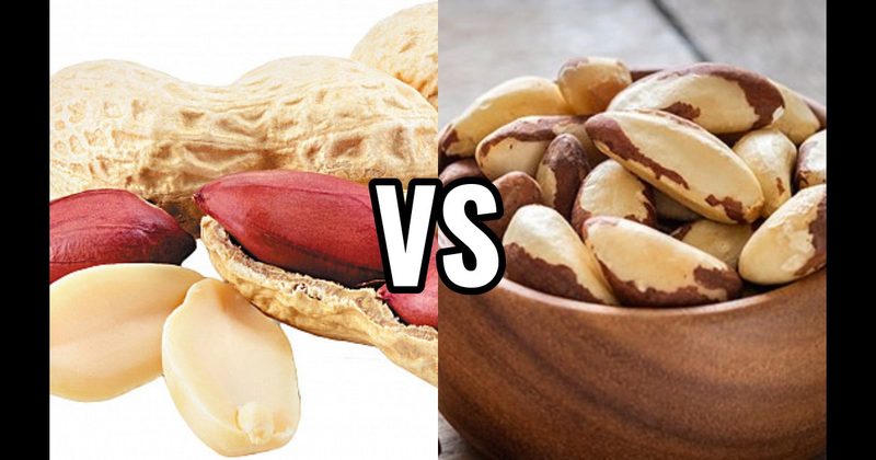 Brazil Nuts vs. Peanuts