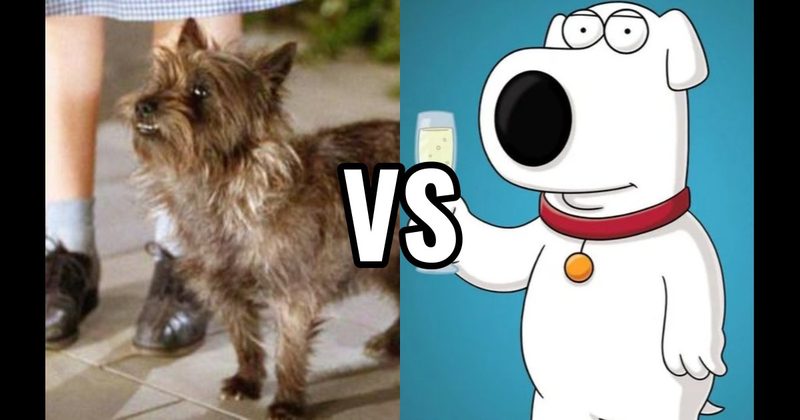 Brian Griffin (Family Guy) vs. Toto (The Wizard of Oz)