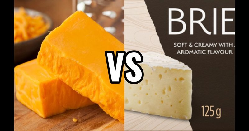 Brie vs. Cheddar Cheese