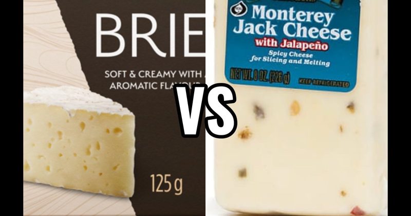 Brie vs. Monterey Jack Cheese