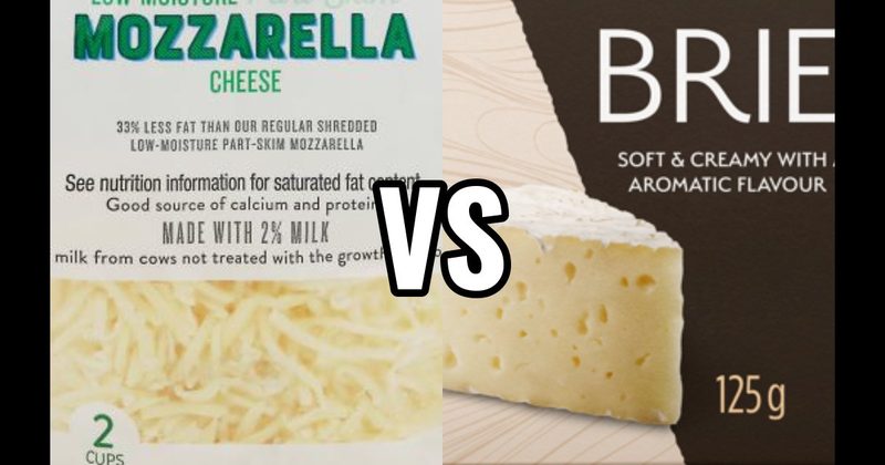 Brie vs. Mozzarella Cheese