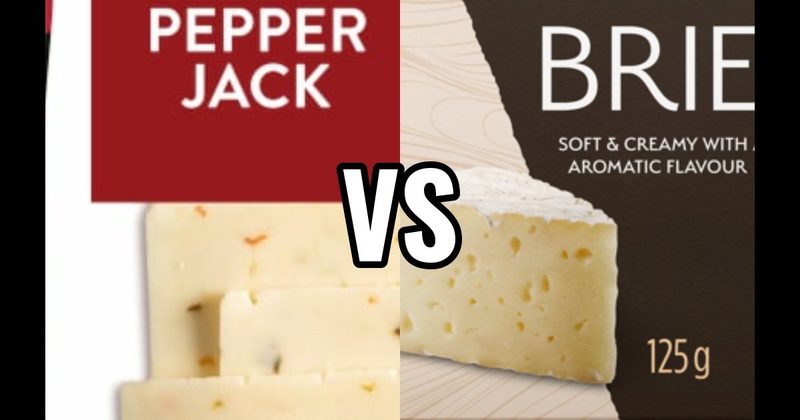 Brie vs. Pepper Jack Cheese