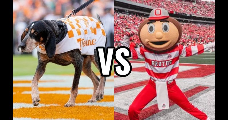 Brutus Buckeye (Ohio State Buckeyes) vs. Smokey (Tennessee Volunteers)