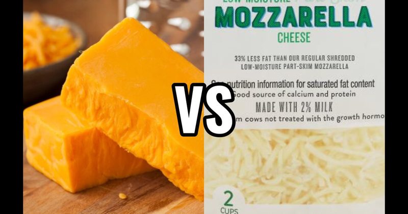 Cheddar Cheese vs. Mozzarella Cheese