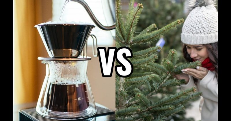 Coffee Brewing vs. Pine / Christmas Tree