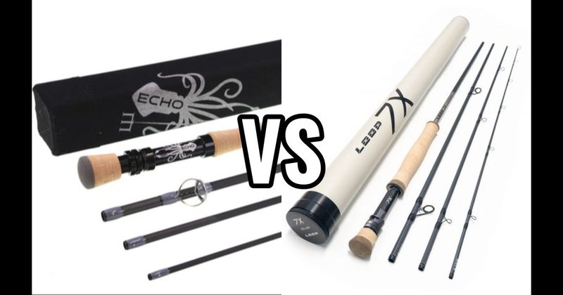 Echo vs. Loop