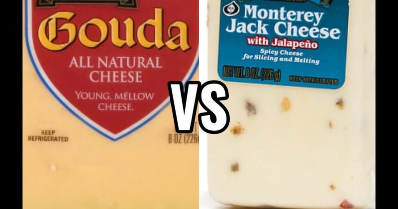 Gouda Cheese vs. Monterey Jack Cheese