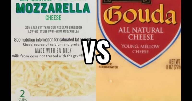 Gouda Cheese vs. Mozzarella Cheese