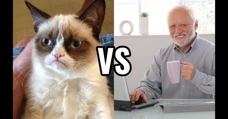 Grumpy Cat vs. Hide the Pain Harold
