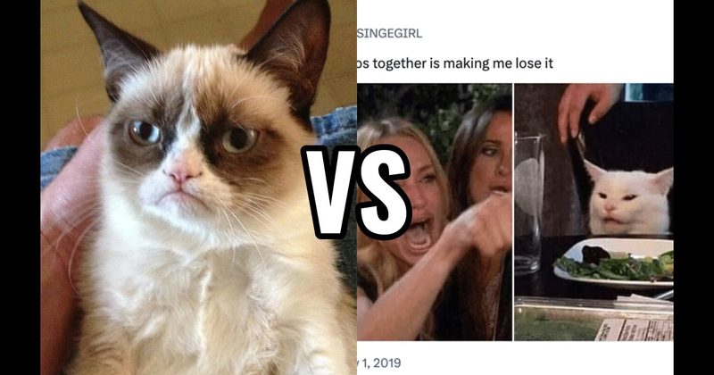 Grumpy Cat vs. Woman Yelling at a Cat