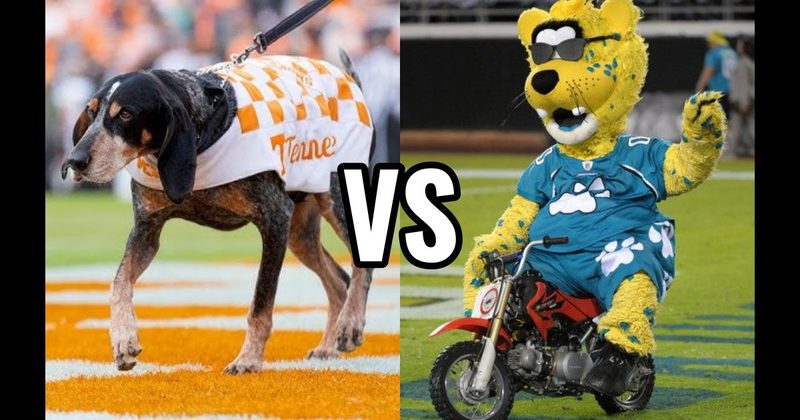 Jaxson de Ville (Jacksonville Jaguars) vs. Smokey (Tennessee Volunteers)