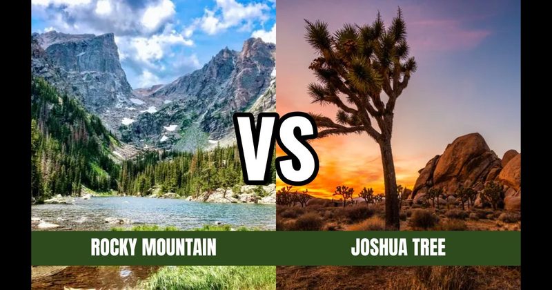 Joshua Tree National Park vs. Rocky Mountain National Park
