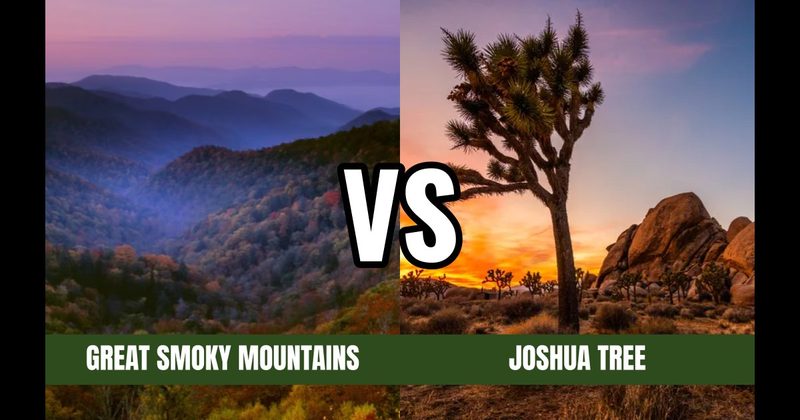 Joshua Tree National Park vs. Smoky Mountains National Park