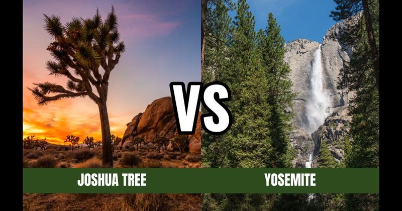 Joshua Tree National Park vs. Yosemite National Park