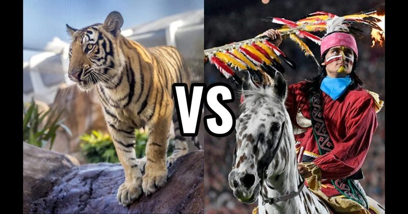 Mike the Tiger (LSU Tigers) vs. Osceola & Renegade (Florida State Seminoles)