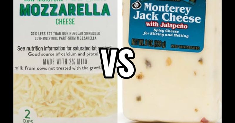 Monterey Jack Cheese vs. Mozzarella Cheese