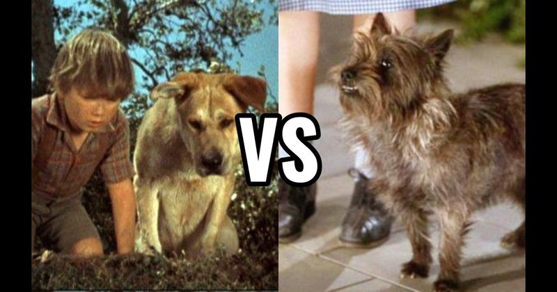 Old Yeller (Old Yeller) vs. Toto (The Wizard of Oz)