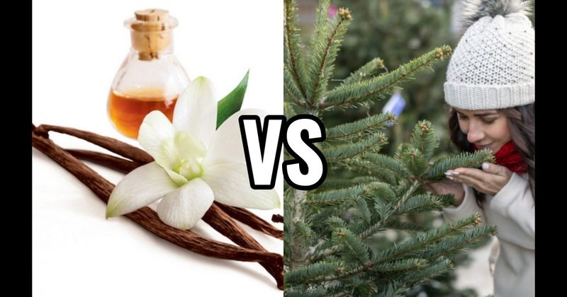 Pine / Christmas Tree vs. Vanilla