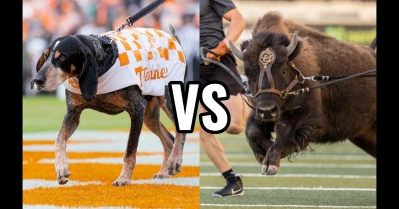 Ralphie (Colorado Buffaloes) vs. Smokey (Tennessee Volunteers)