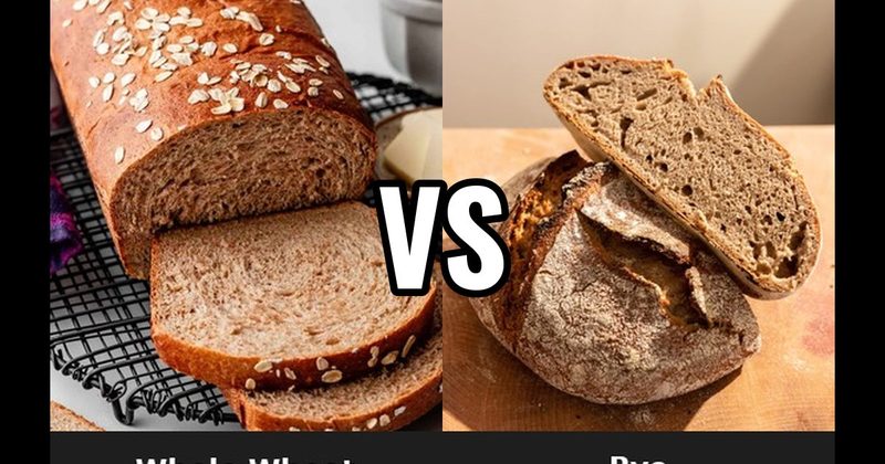 Rye vs. Whole Wheat