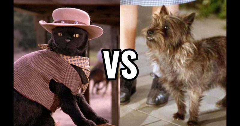 Salem Saberhagen (Sabrina the Teenage Witch) vs. Toto (The Wizard of Oz)