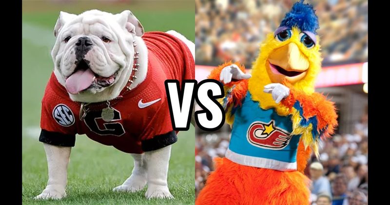 The San Diego Chicken vs. Uga (Georgia Bulldogs)