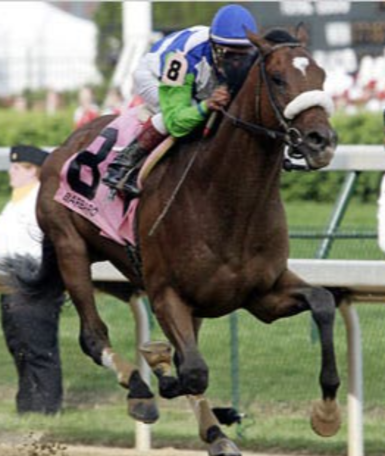 Barbaro