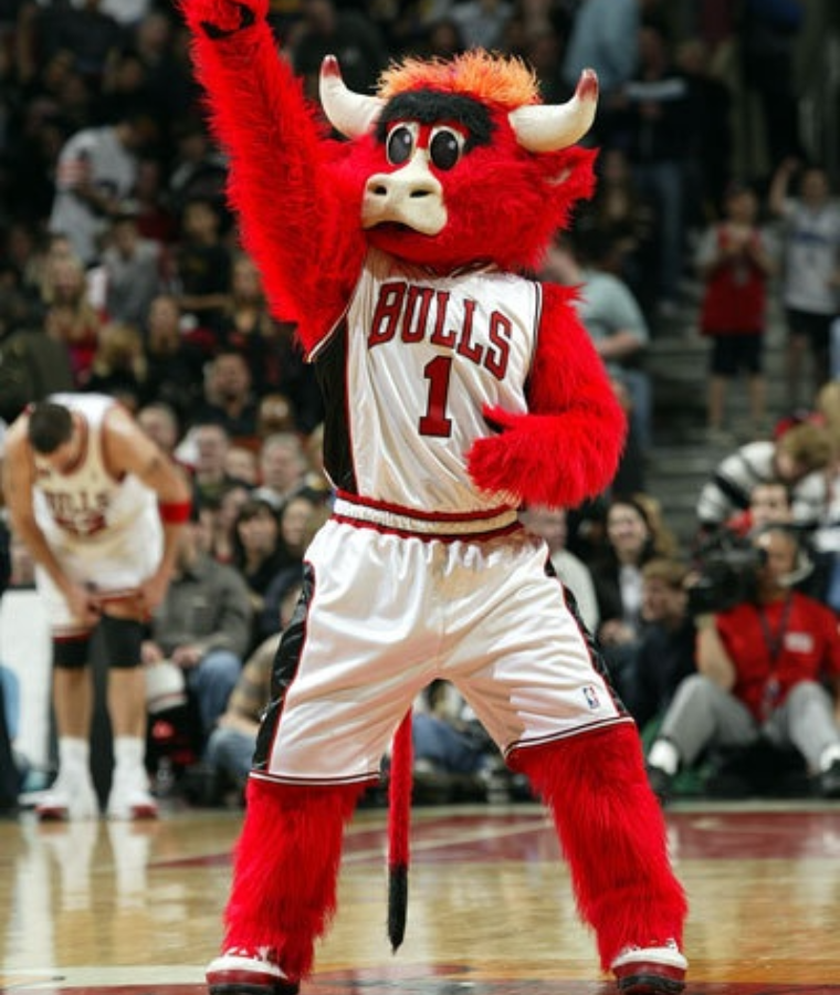 Sports Mascots