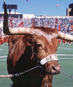 Bevo (Texas Longhorns)
