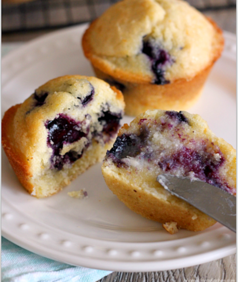 Blueberry Muffin