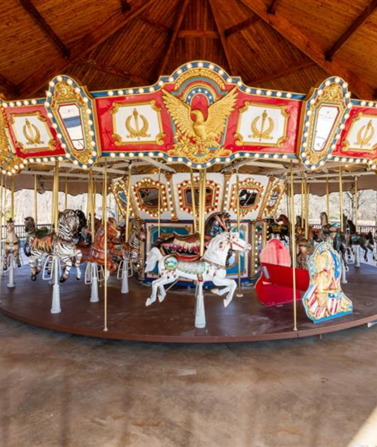 Amusement Park Rides