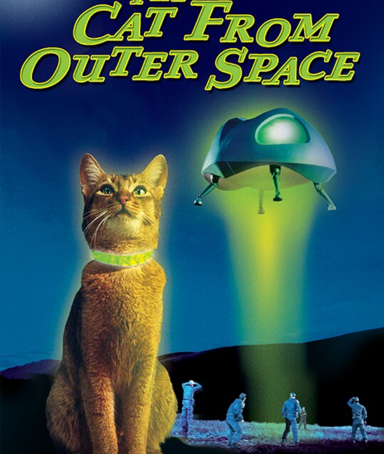 Cat Movies