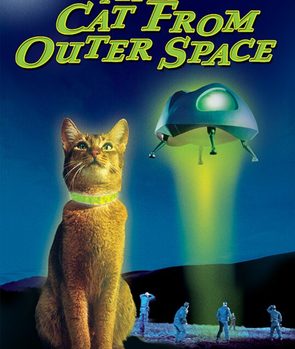 Cat from Outer Space