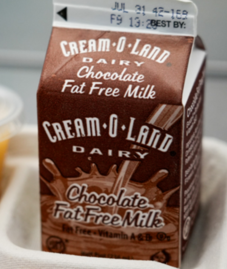 Chocolate Milk Carton