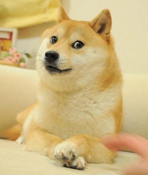 Doge
