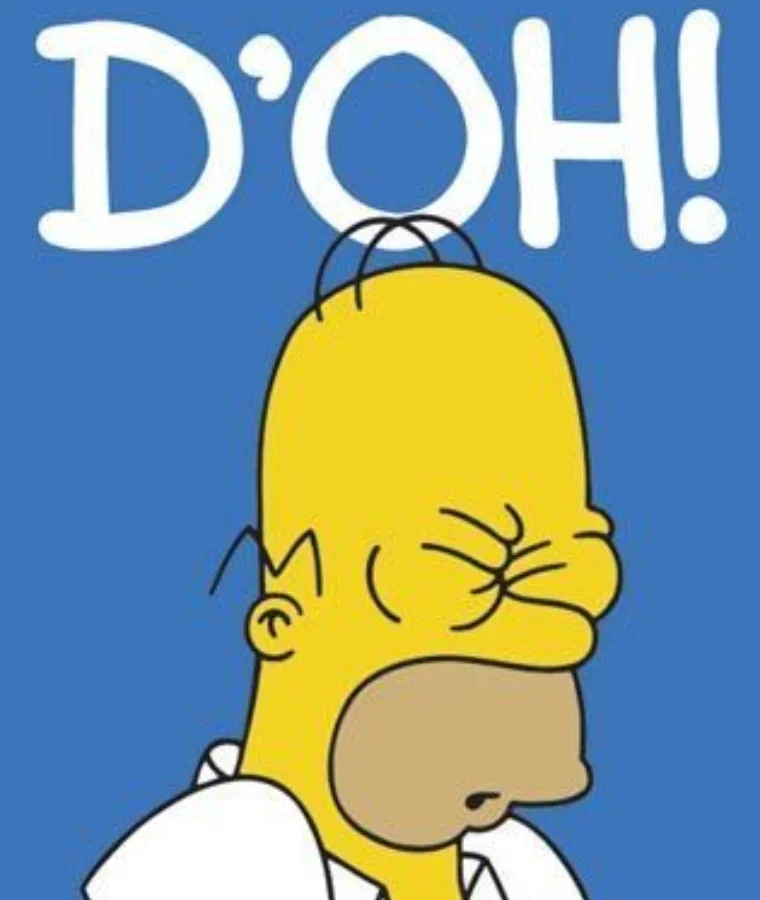 “D’oh!” (Homer, The Simpsons)