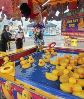 Duck Pond