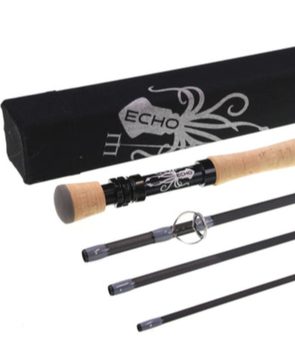 Echo