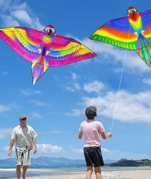 Fly a Kite